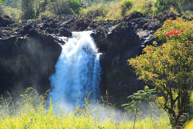 Photograph of a Hawaiian Waterfall