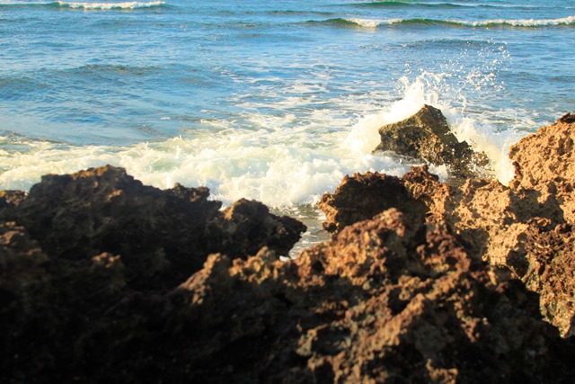 Photograph of the Hawaiian water break